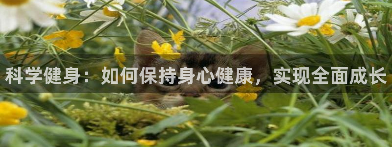 海南MK体育官网下载发展怎么样:科学健身:如何保持身心健康,